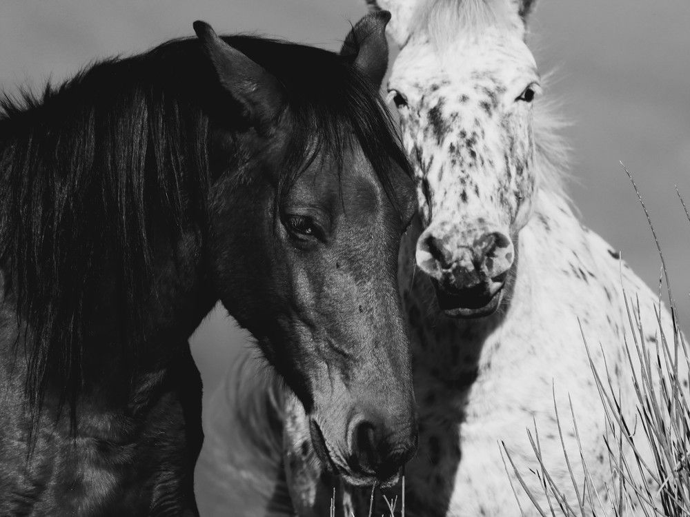 Photograph by Giuseppe Catalano