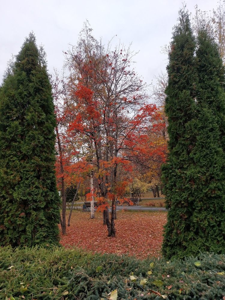 Photograph by Светлана Шиляева