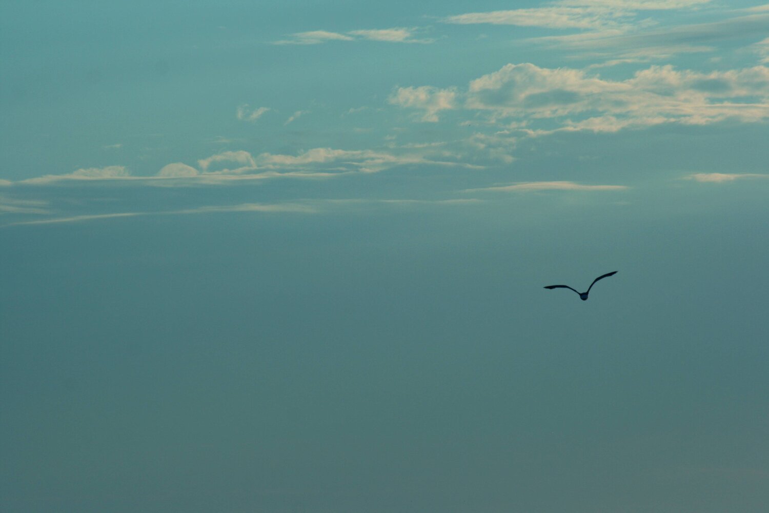 Photo #8359170
