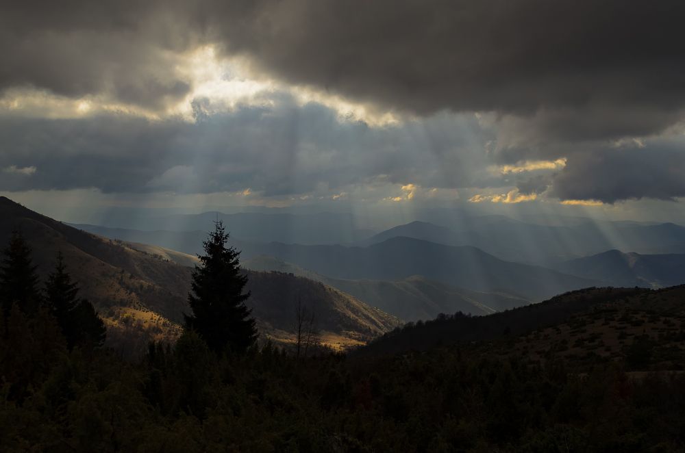 Photograph by Vedran Milic