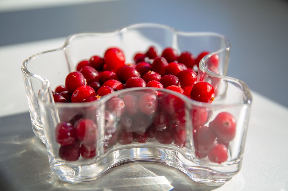 Photograph by Наталья Катюжанская