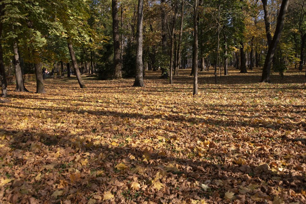 Photograph by Светлана Зайкова