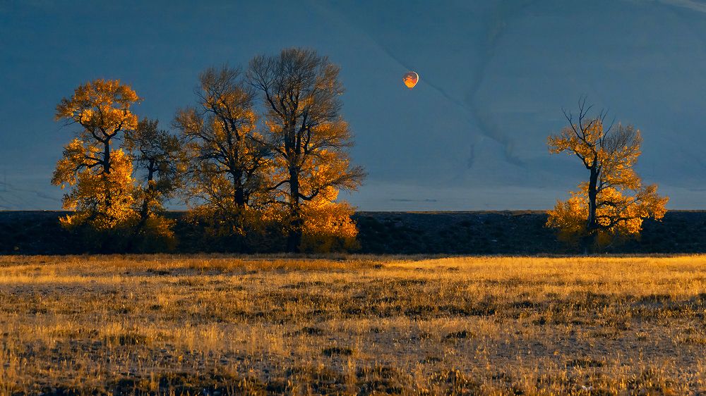 Photograph by Пешков Валерий