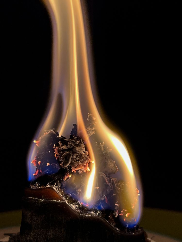 Фотография автора Юлия Костина