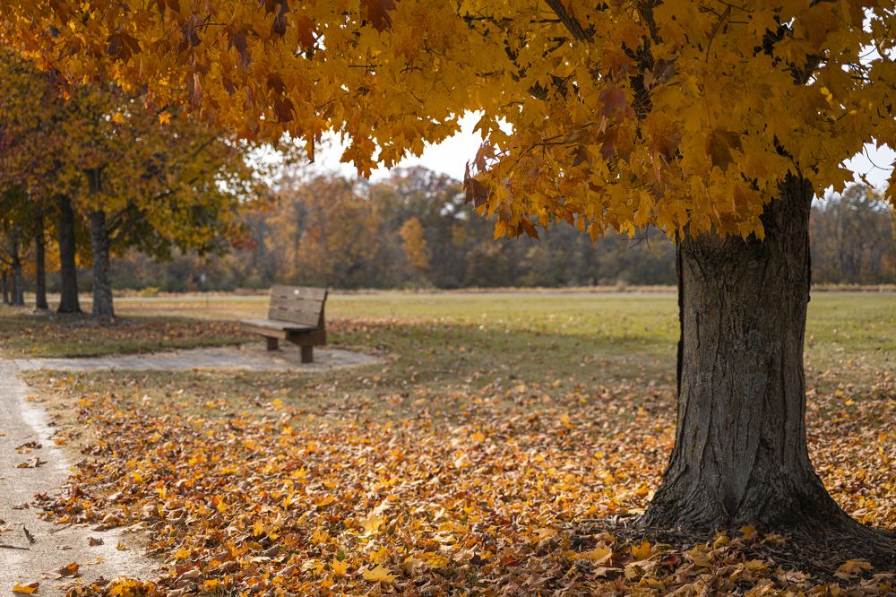 Photograph by Olga Tarlton