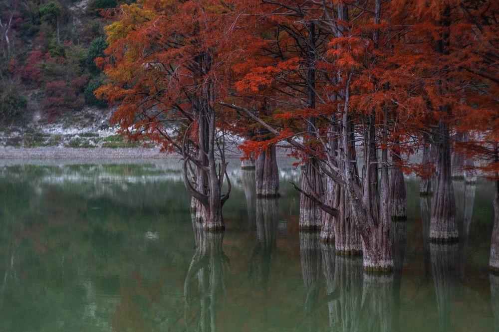 Photograph by Tateshi