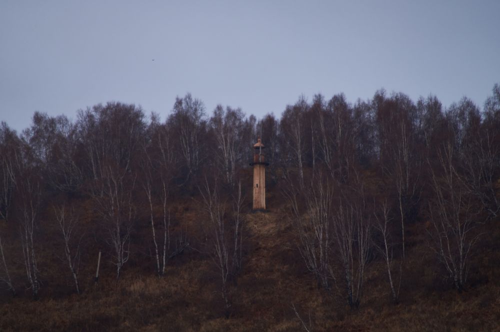 Photograph by Анастасия Пельменёва