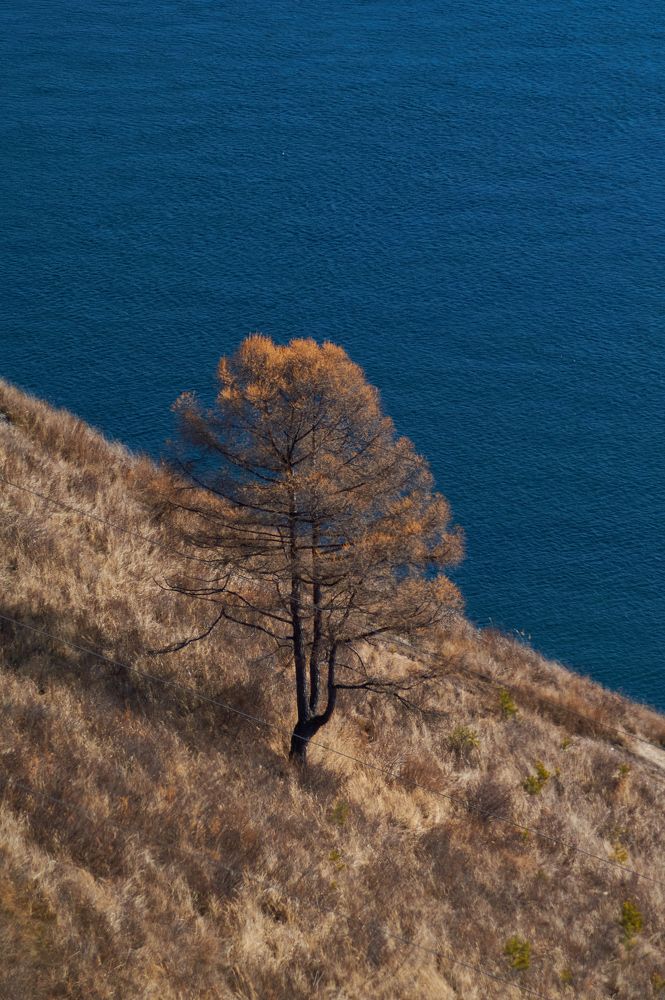 Photograph by Анастасия Пельменёва