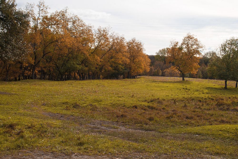 Photograph by Татьяна Коваленко