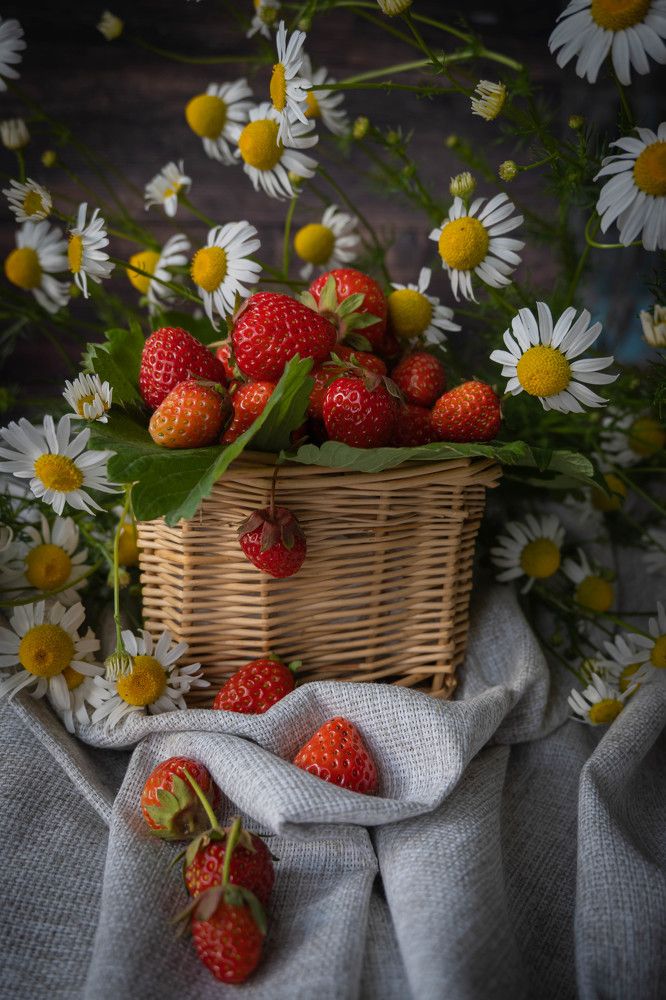 Фотография автора Оксана Белозерская