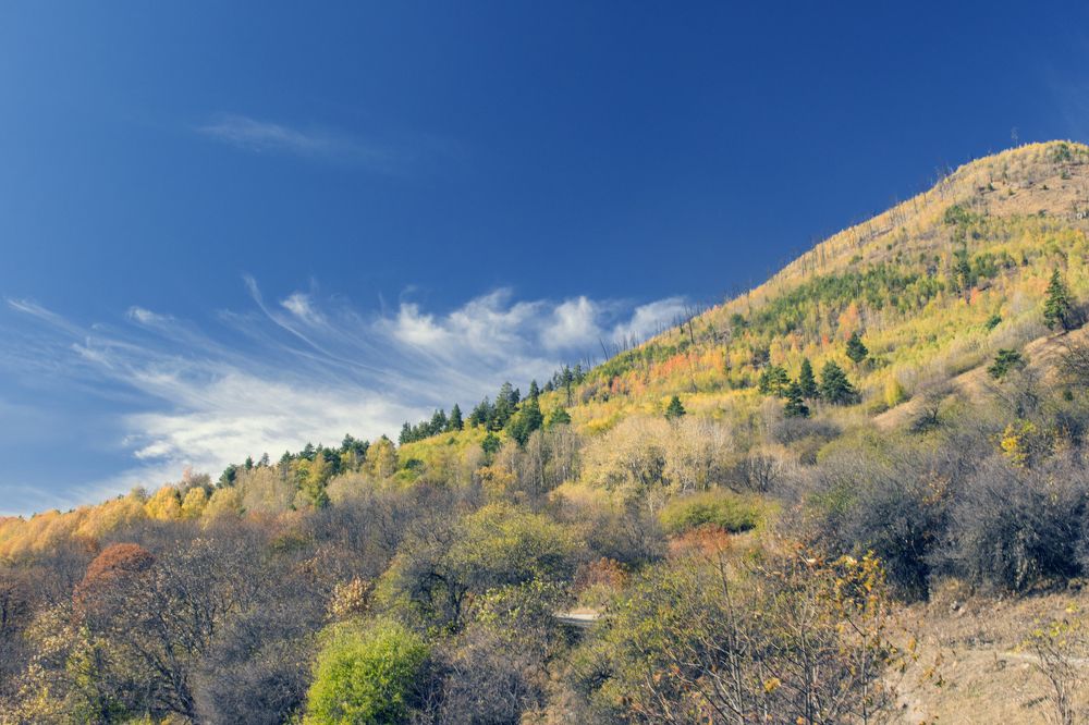 Photograph by Виталий