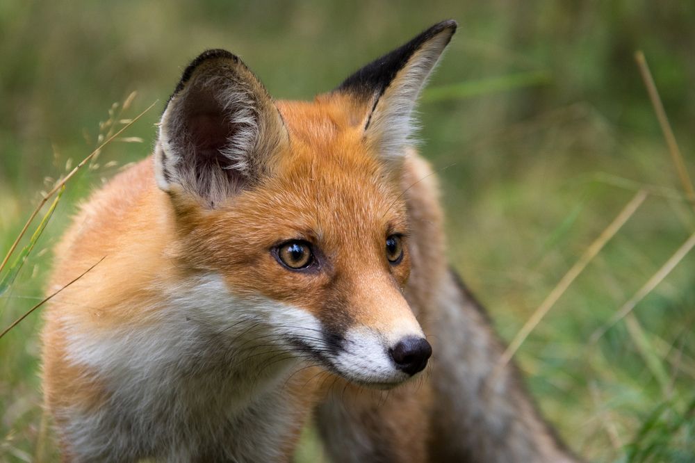 Photograph by Вячеслав Рудинский