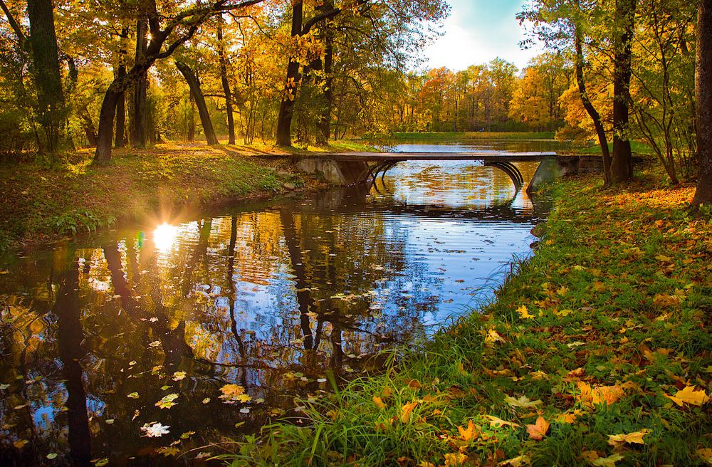 Фотография автора Ольга Виноградова