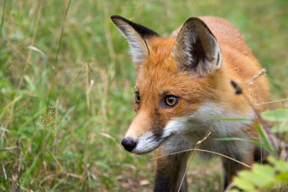 Photograph by Вячеслав Рудинский