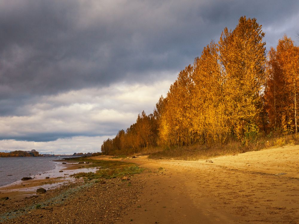 Фотография автора Вячеслав Коробов