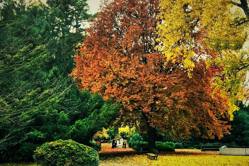 Photograph by Alexander Kubik