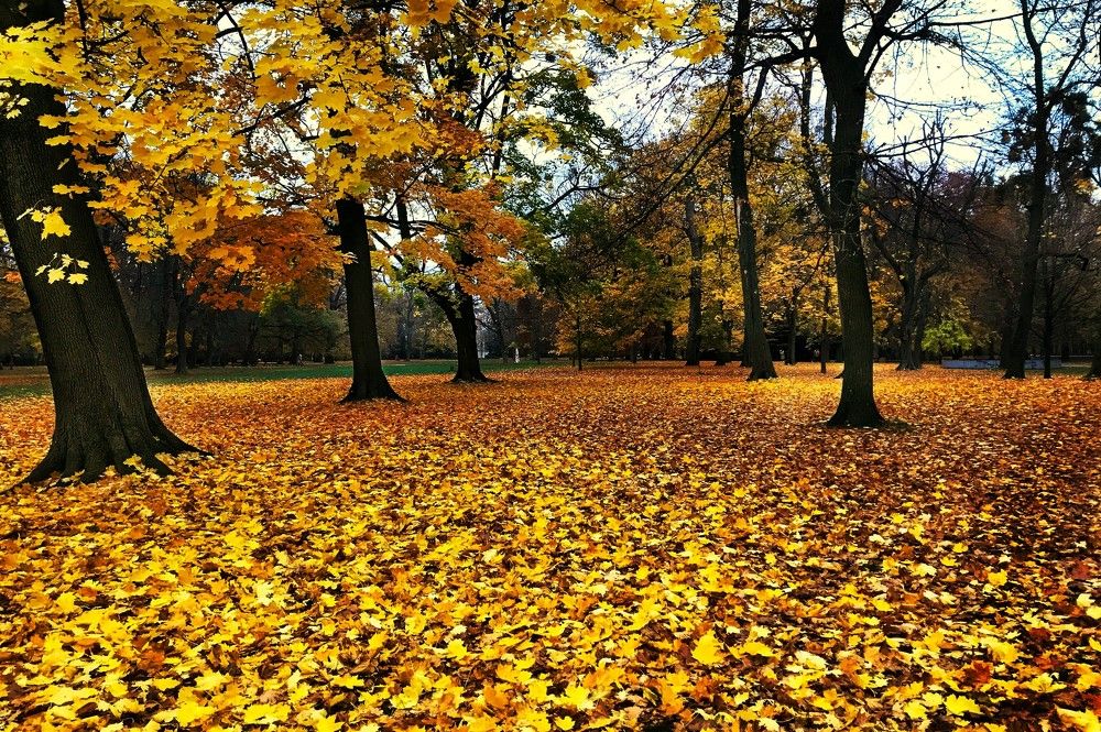 Photograph by Alexander Kubik