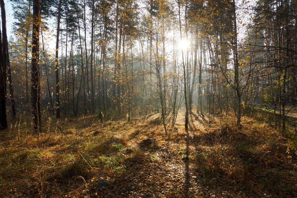 Photograph by Олег Чубайкин