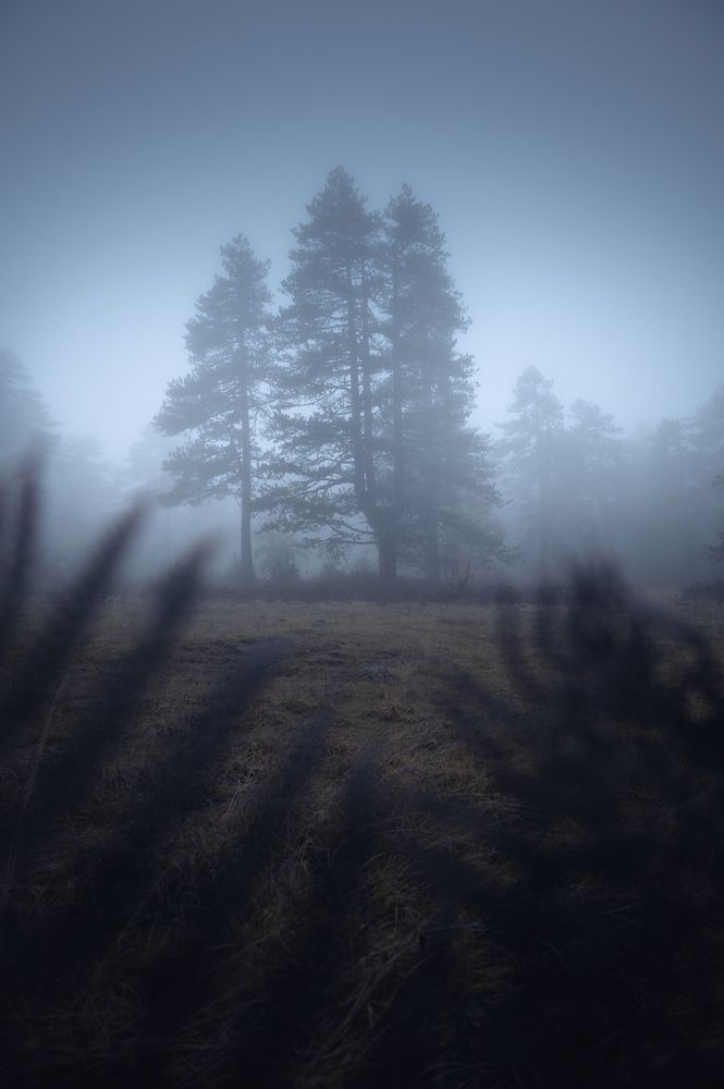 Photograph by Nick Georgiadis