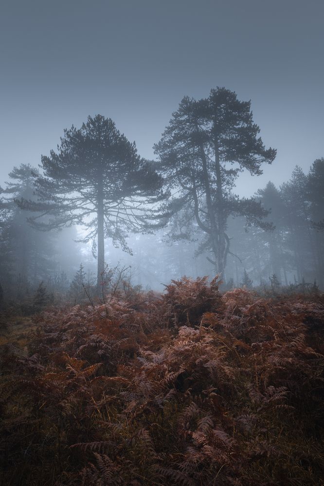 Photograph by Nick Georgiadis