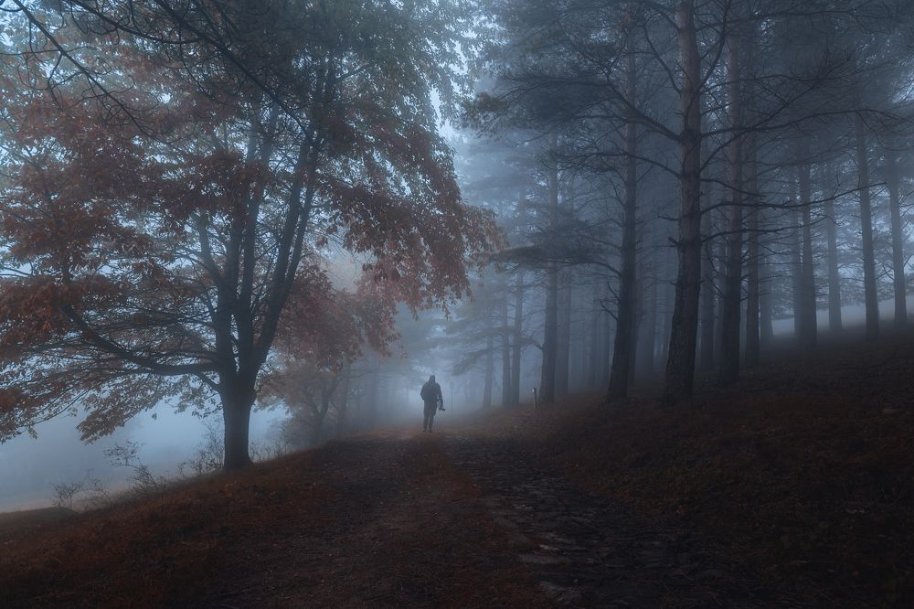 Photograph by Nick Georgiadis