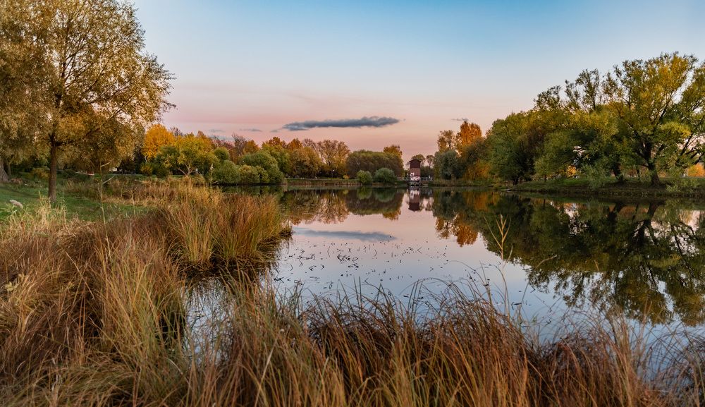 Фотография автора Рохмистрова Мария