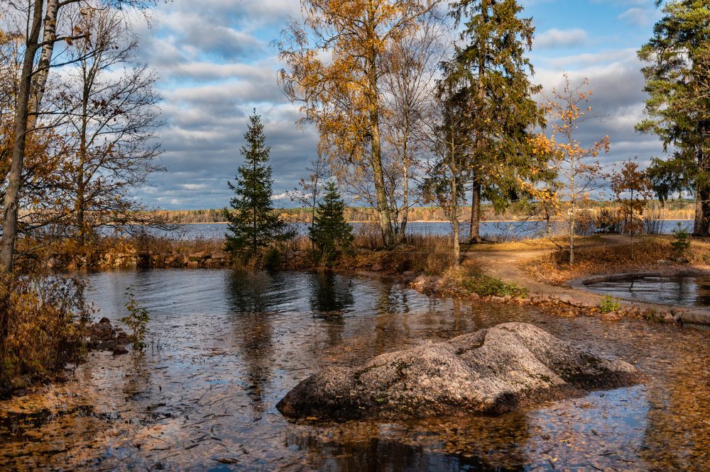 Фотография автора Рохмистрова Мария