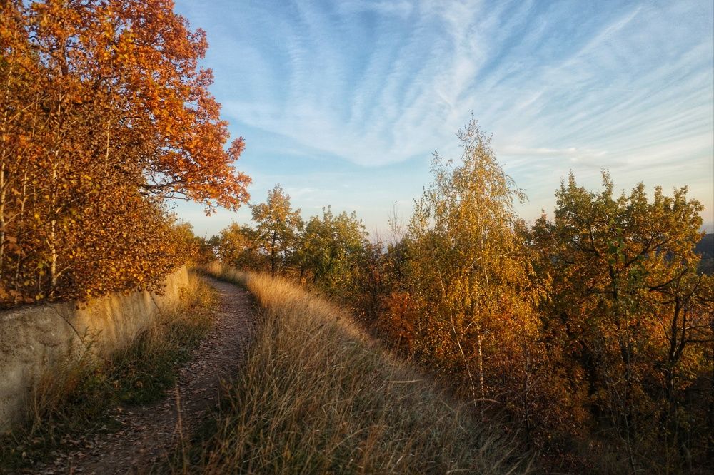 Photograph by Алла Никушкина