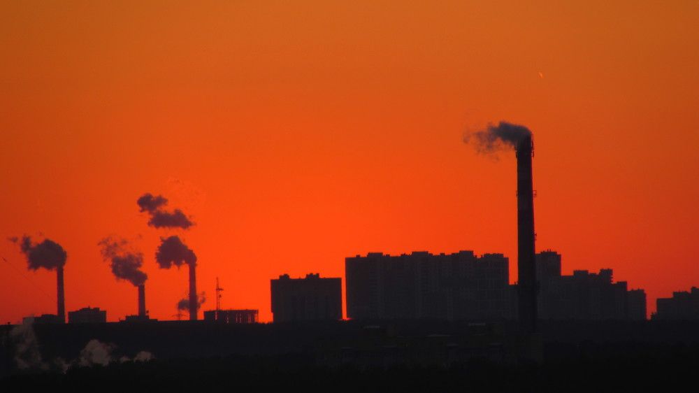 Photograph by Мария Глухова