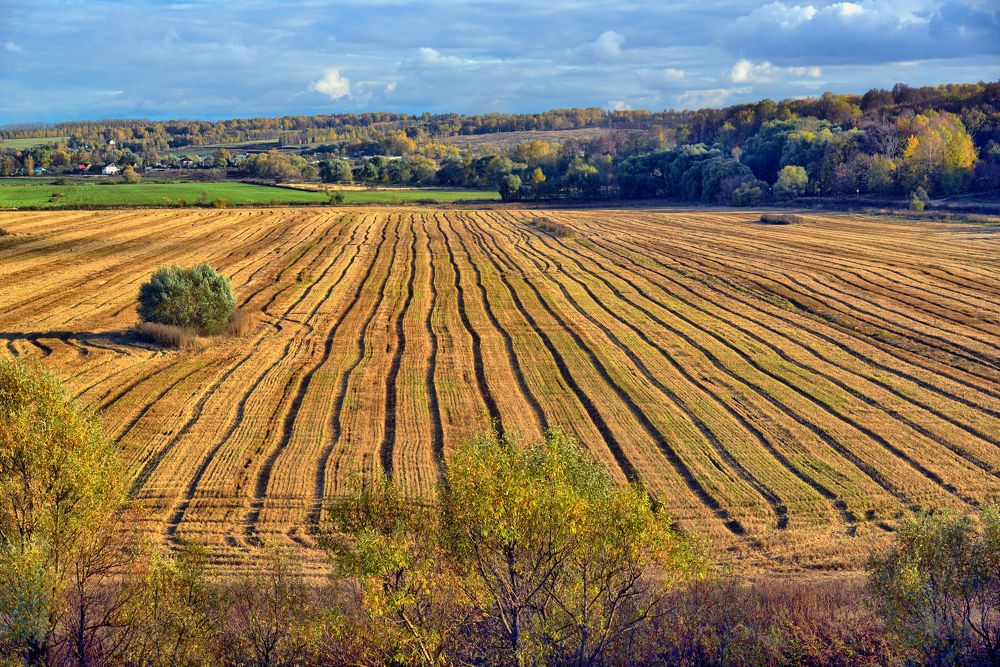 Photograph by Владимир Лосман