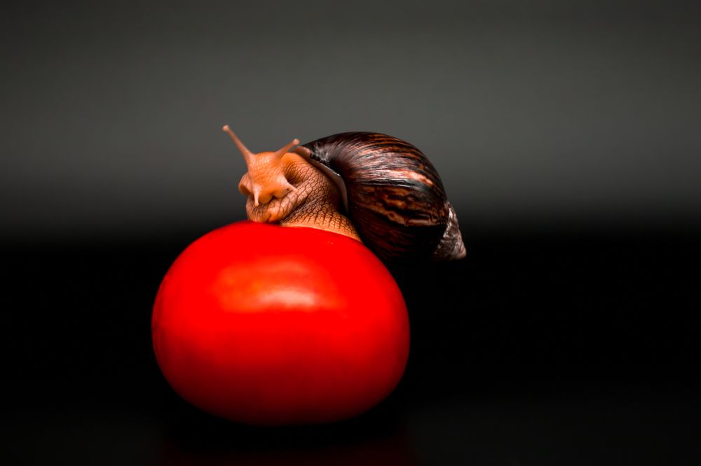 Photograph by Екатерина Нефедова