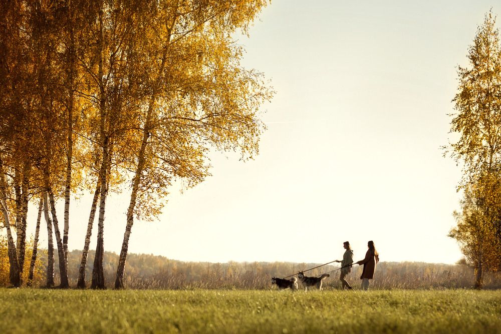 Фотография автора Екатерина Шаманаева