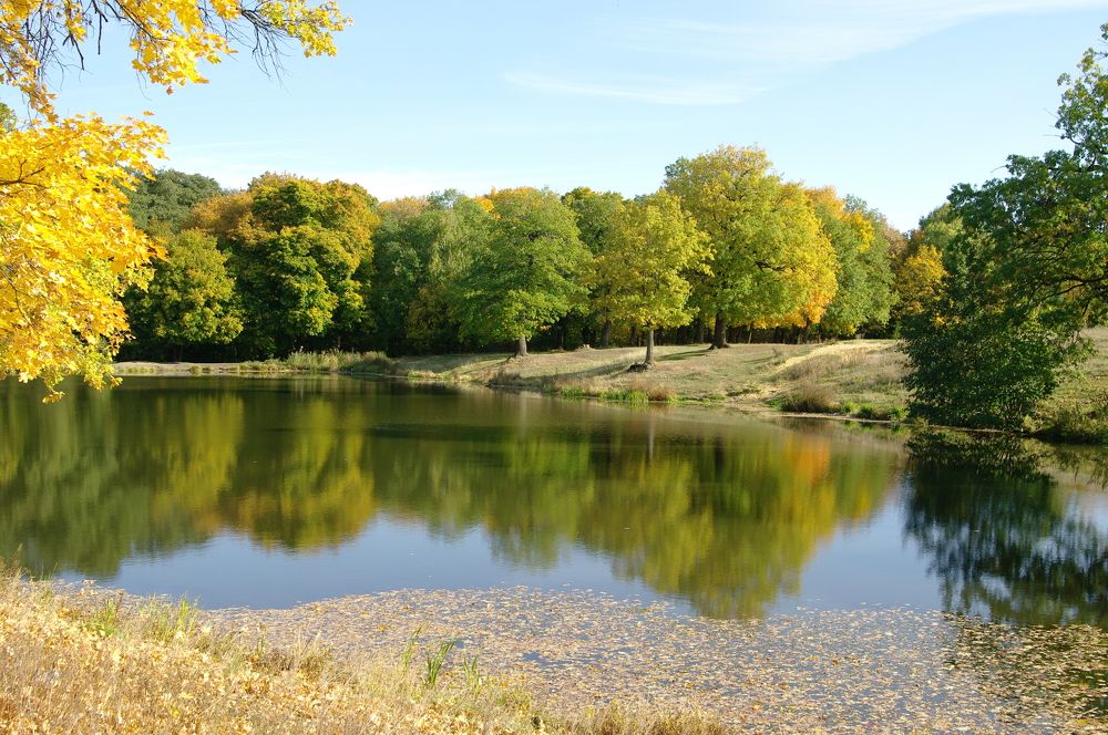 Photograph by Константин Гудков