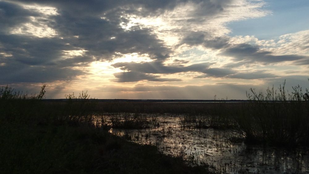 Photograph by Галина Сабитова