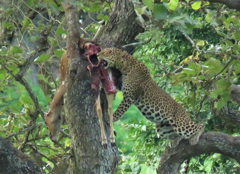 Photograph by ANISH BISWAS