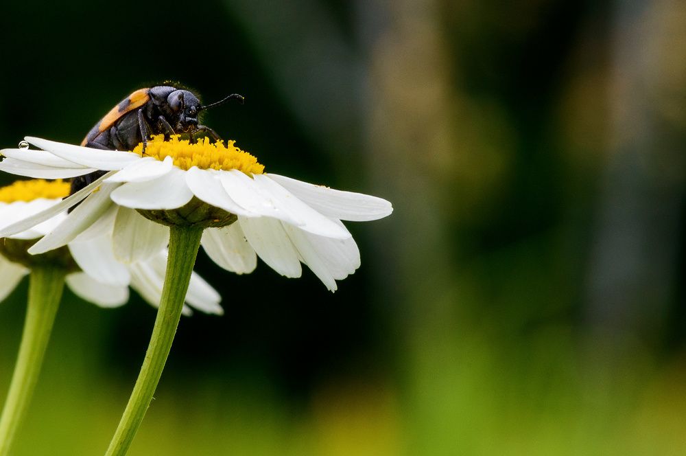 Photograph by Владислав Никишин
