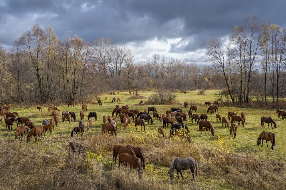 Photograph by Тамара Андреева