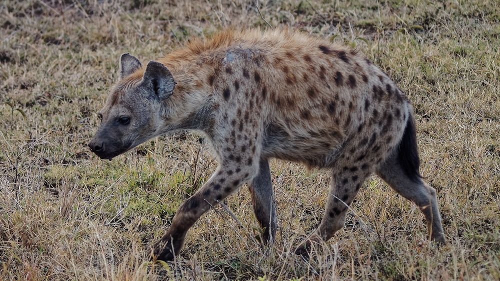 Photograph by Андрей Панин