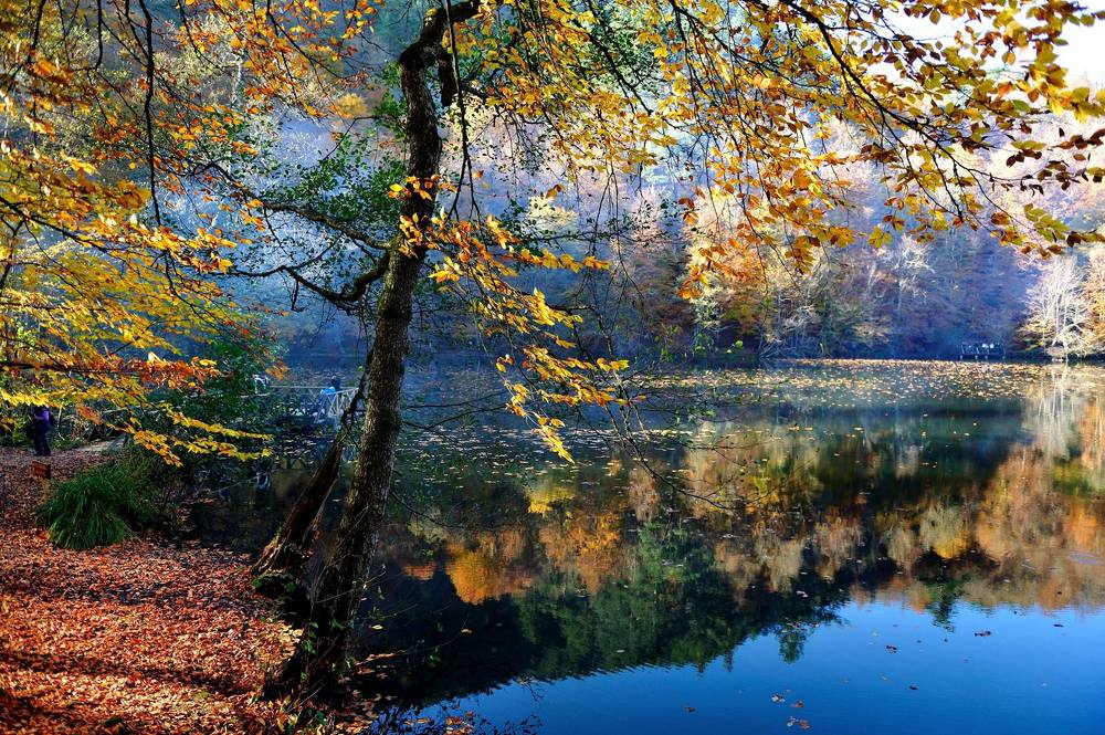 Photograph by Mehmet Kuş