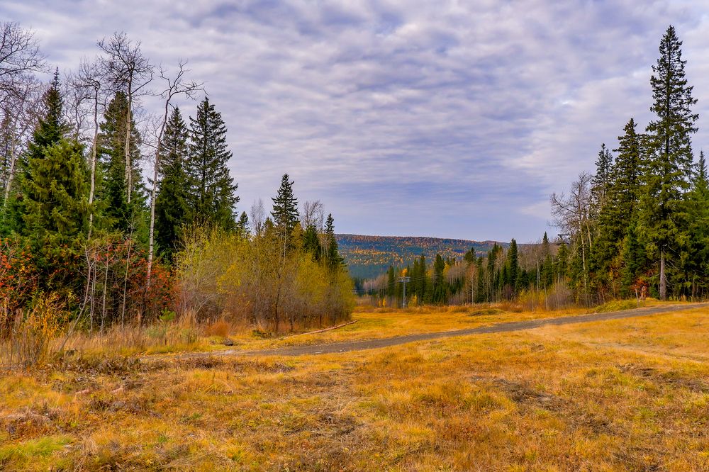 Photograph by Ольга Тюрина