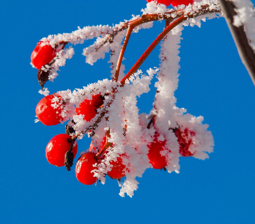 Photograph by Александр Есликов