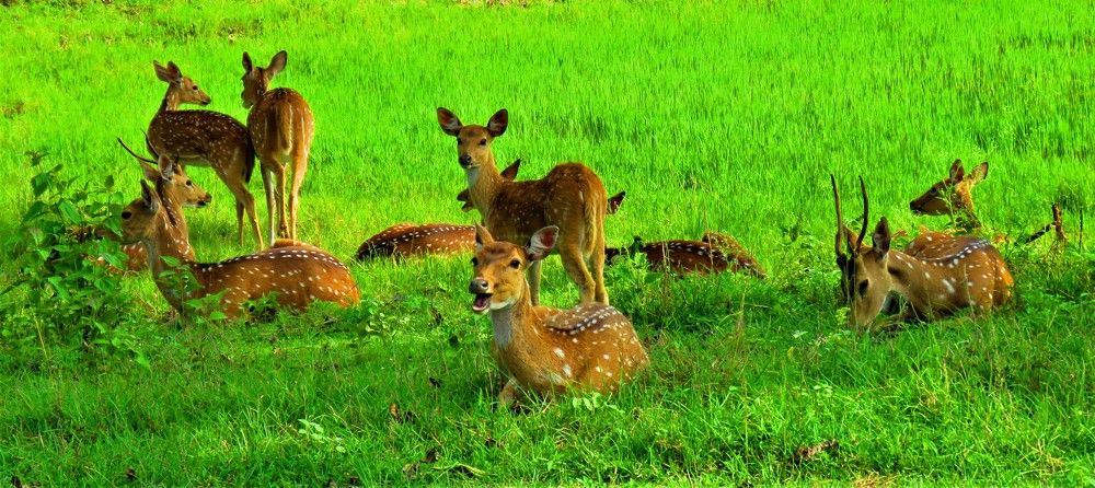 Photograph by ANISH BISWAS