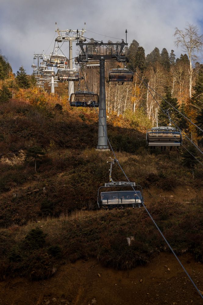 Photograph by Анастасия Петрова