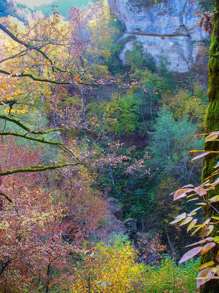 Осенняя палитра