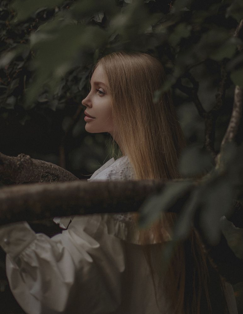 Photograph by Ирина Заргано