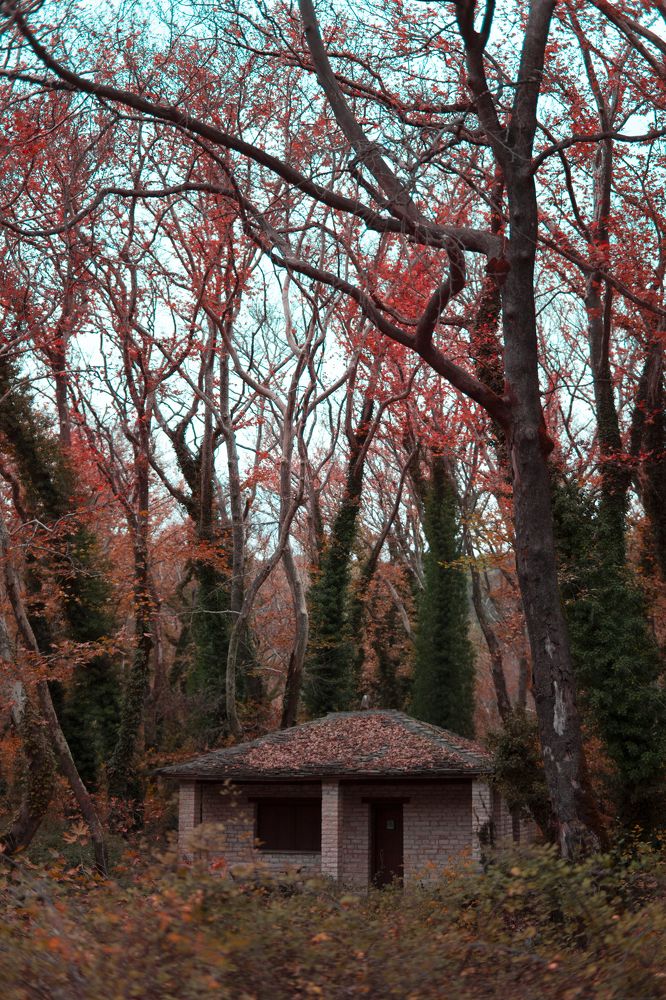 Photograph by Elina Astrapellou