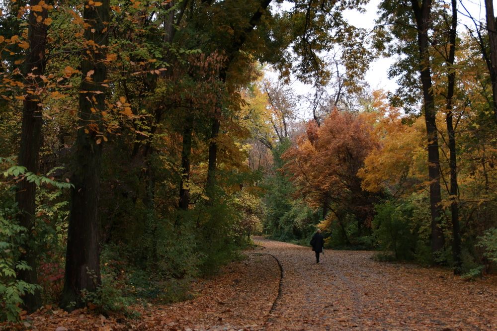 Photograph by Elena Mingazova