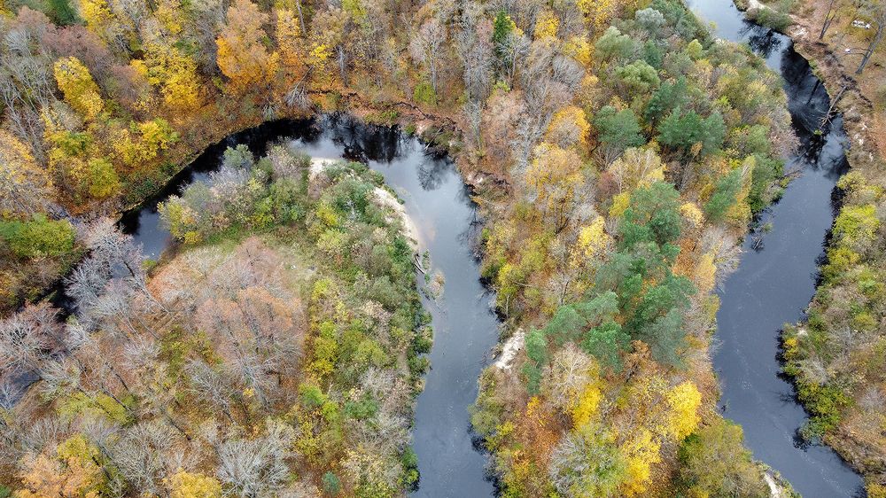 Photograph by Михаил Рассказ