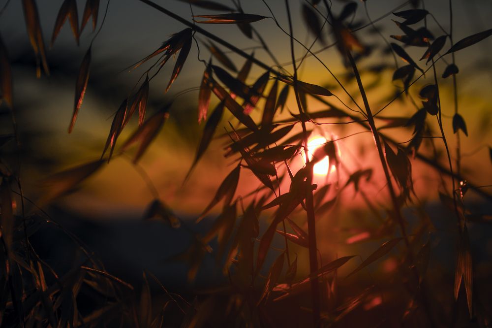 Фотография автора Дмитрий Горбылёв