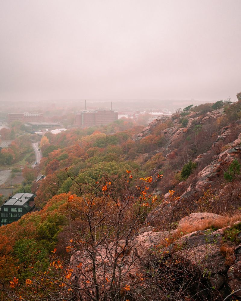 Hillside autumn view